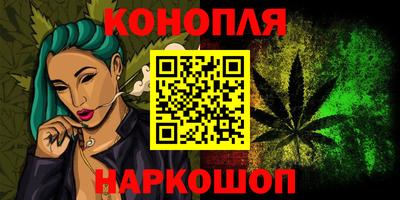 гашик Будённовск